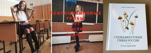2c-b Алзамай