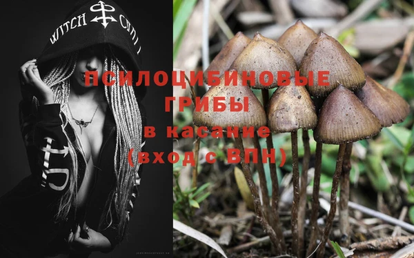 дживик Алексин