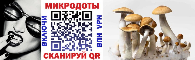 Псилоцибиновые грибы Magic Shrooms  закладка  Данков 